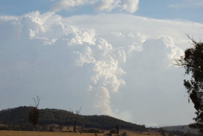 Bushfire smoke from Tatong fires in Tolmie/Whitlands area.