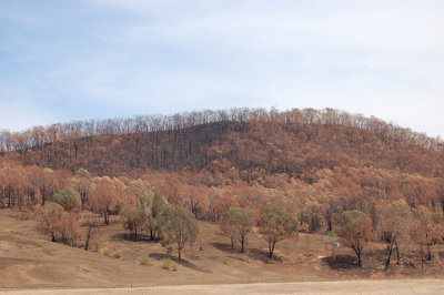 3 weeks after the Tatong fire