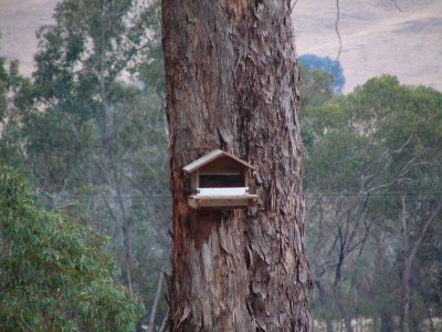 Nesting Box