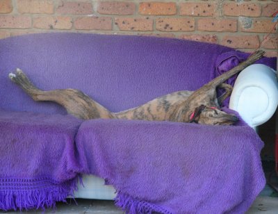Lainie showing the art of relaxtion on a 3 seater lounge.