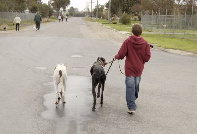  Million Paws Walk - Wangaratta 2006 & 2007