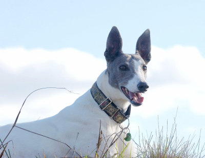 Hilary - taking time out at the dam.