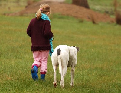 A gentle walk back home.