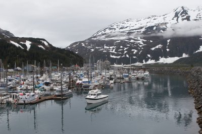 _MG_3961.jpg