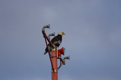 _S0N4989.jpg