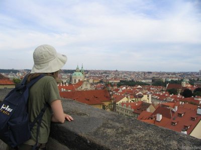 177_7762.JPG