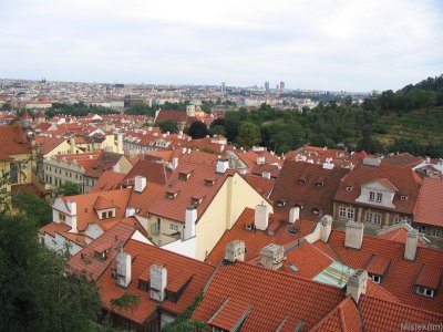 177_7767.JPG