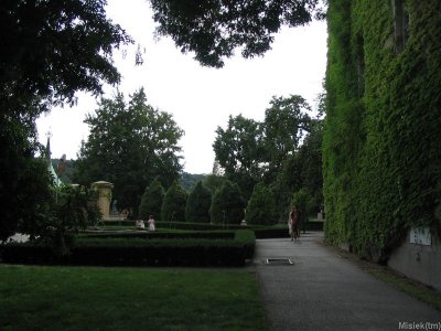 177_7773.JPG