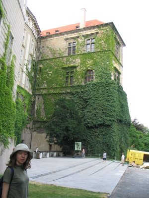 177_7774.JPG
