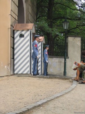 177_7780.JPG