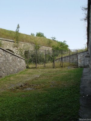 Dsc05902.jpg