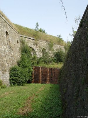 Dsc05903.jpg