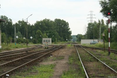 IMG_2346.JPG