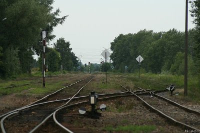 IMG_2354.JPG