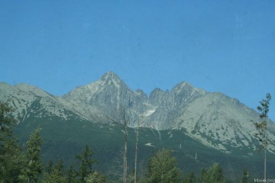 IMG_5207.JPG