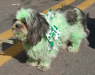 St. Patrick's Day Parade 