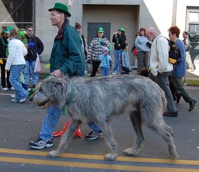St. Patrick's Day Parade 