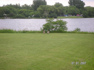 g6/54/692654/3/81560632.QLyerT24.jpg