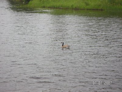 g6/54/692654/3/81560640.47Ewq7Qw.jpg