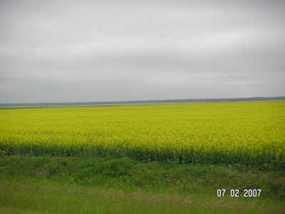 g6/54/692654/3/81560708.oqfDmtCJ.jpg