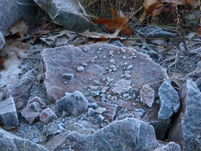 A Thin Layer of Frost