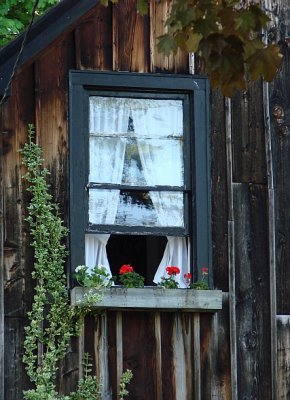 Window Planter - Left side of House