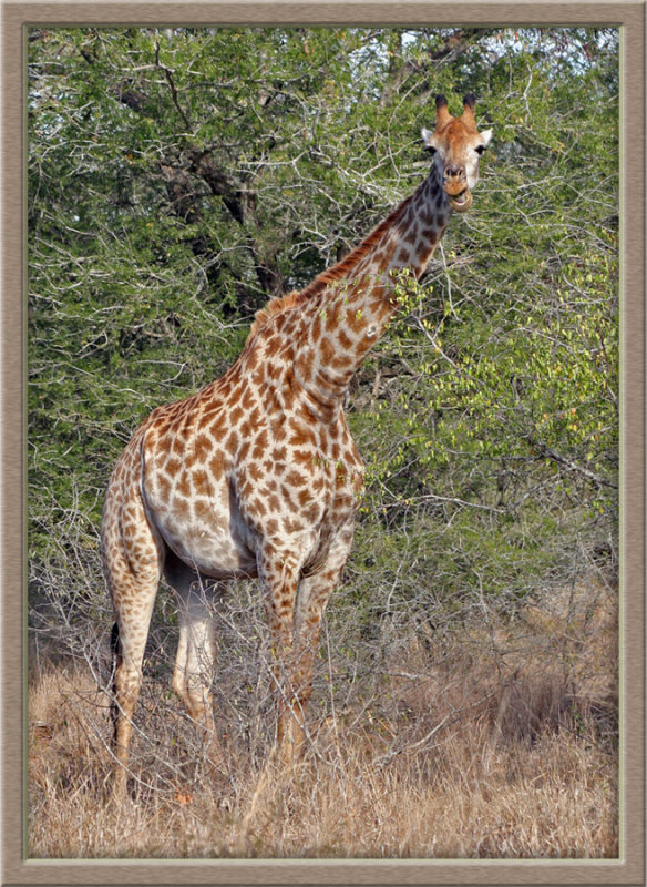 And what are you looking at? (0489)