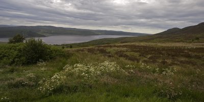 Day 5 - Loch view (2725)