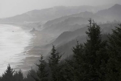 Misty California coastline
