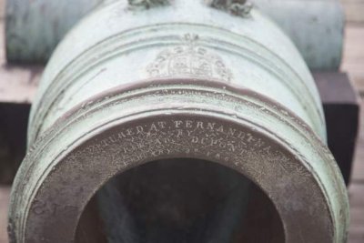 Cannon detail