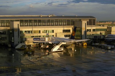 g6/54/773754/3/80531826.hAK9OKYX.jpg
