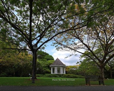 Singapore - Botanic View