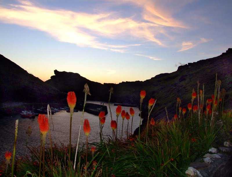 Boscastle Harbour Late Evening 2