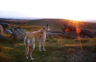 Angel Watching the Dartmoor Sun Set