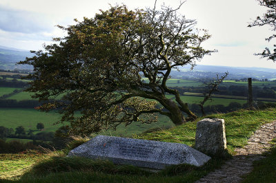 Hawthorn and Grave on Brentor