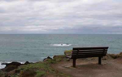 The Empty Bench