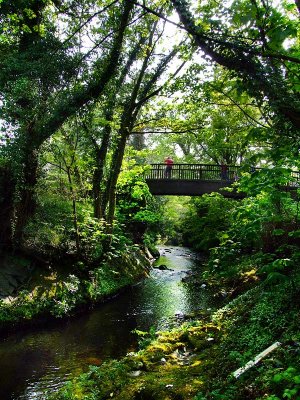 Okehampton West Ockment River .jpg