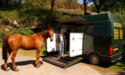 2HorseBox KM5D