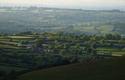 Green Devon Landscape. Evening, May