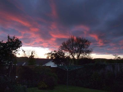 Back Yard Sky.jpg