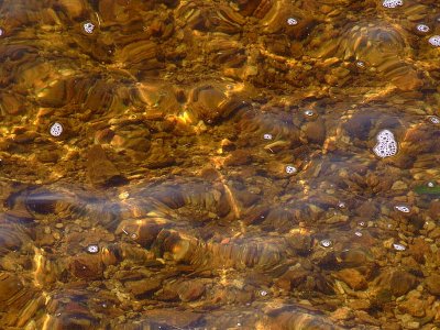Fernworthy Peaty Water.jpg