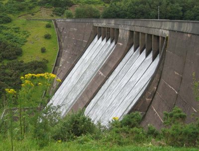 Meldon Dam with ragwort