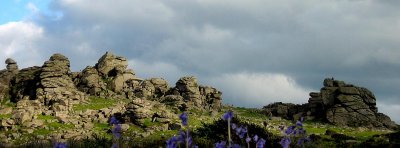 Spring Light on Hound Tor
