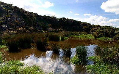 The Quarry Pond