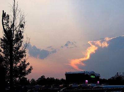 IMG_1590a.jpg