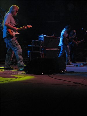 IMG_1959a.jpg