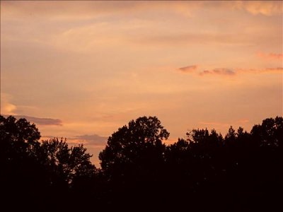 IMG_3514_filtereda.jpg