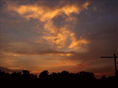 IMG_3517_filtereda.jpg