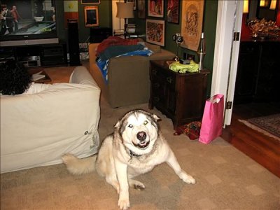 IMG_3644_filtereda.jpg