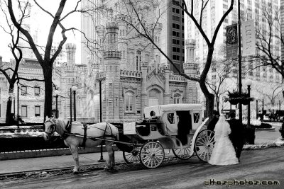 Wedding carriage in front of the Water Tower, Chicago